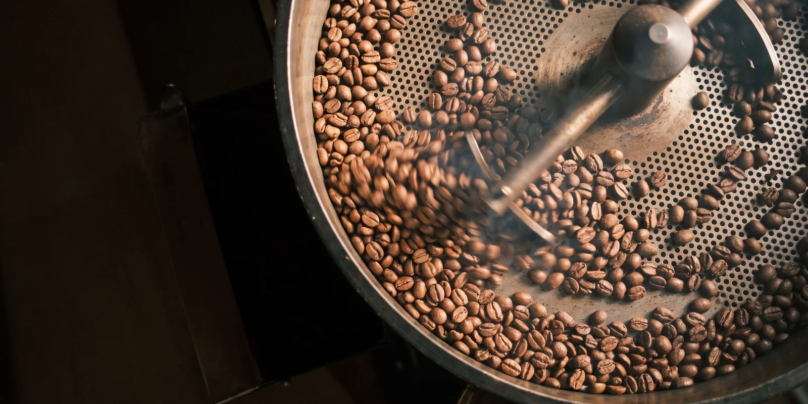 Lot 041 in the cooling tray: medium-roast beans turning under the stirring arm, seen from above