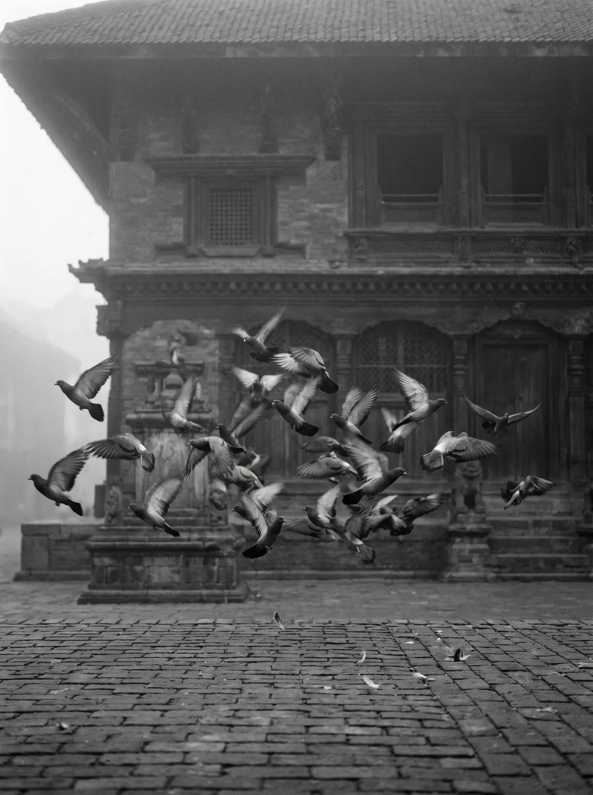 Pigeons take off from the brick paving in front of a temple at dawn